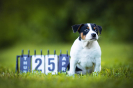 Das Fotoshooting zum Abschied_9