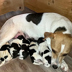 6ce82a9f 2272 4da2 9fec 50f9f419218d